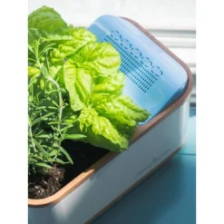 Dewplanter -Garden & Outdoors GUEST 0a42b0f6 1473 47d5 bdf3 67620356876b