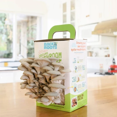 Back To The Roots Organic Mushroom Mini Grow Kit Pearl Oyster 6 Back To The Roots Organic Mushroom Mini Grow Kit Pearl Oyster - Image 4
