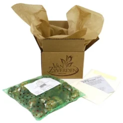 Van Zyverden 5ct Hyacinth Red Indoor Forcing Jan Bos Flower Bulb Set 9 Van Zyverden 5ct Hyacinth Red Indoor Forcing Jan Bos Flower Bulb Set -Garden & Outdoors GUEST 173d033c 2a9d 49e2 aac7 fc87c07d5dac 1