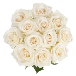 Dozen Fresh Cut White Roses With Vase -Garden & Outdoors GUEST 2e77c62b 0d61 4541 a62a b919c509cfa7