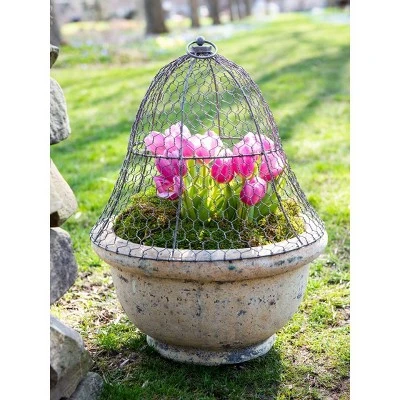 Gardener’s Supply Company Sturdy Chicken Wire Cloche Plant Protector & Cover | Sturdy Metal Cage Garden Protection For Your Plants And Seedlings | No 3 Gardener’s Supply Company Sturdy Chicken Wire Cloche Plant Protector & Cover | Sturdy Metal Cage Garden Protection For Your Plants And Seedlings | No