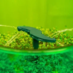 Tribest Freshlife 3000 Automatic Sprouter – Green 8 Tribest Freshlife 3000 Automatic Sprouter – Green -Garden & Outdoors GUEST 479555fc 9d58 4231 97c4 106bd66132fb