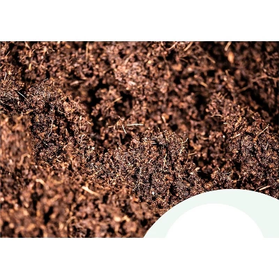 Window Garden 20 Cavity Seed Propagation Kits - 2 Pack 4 Window Garden 20 Cavity Seed Propagation Kits - 2 Pack - Image 2