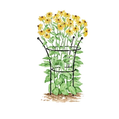 Gardener's Supply Company Essex Plant Support | Sturdy Metal Plants Support Frame For Peonies, Rose Ornamental Flower Garden Cage | Wide Top Rings 4 Gardener's Supply Company Essex Plant Support | Sturdy Metal Plants Support Frame For Peonies, Rose Ornamental Flower Garden Cage | Wide Top Rings - Image 2