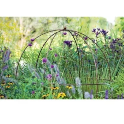 Gardeners Supply Company Jardin Bird Cage Plant Support | Large Sturdy Grow-Through Steel Flower Trellis And Garden Decor | Best To Support Peonies, -Garden & Outdoors GUEST 836c3e6b 1003 4cad 98af f17e48edbd87
