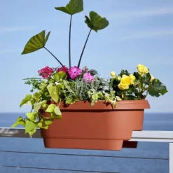 Bloem 24" Wide Rectangular Deck Rail Planter -Garden & Outdoors GUEST 8a3431c1 786d 466b 8ac9 4f97109f630b