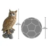 Design Toscano Perching Forest Owl Statue -Garden & Outdoors GUEST 8f1640b6 4e47 4e4b 8053 b3a86fcfc6da
