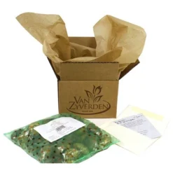 150ct Allium Collection Bulbs - Van Zyverden 10 150ct Allium Collection Bulbs - Van Zyverden -Garden & Outdoors GUEST bc77edb8 ae2e 4f65 80b4 613a97ad577f 1