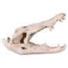 Design Toscano Crocodile Skull Sculptural Artifact 2 Design Toscano Crocodile Skull Sculptural Artifact -Garden & Outdoors GUEST caf455c1 dcf6 4b0c b5ea a75913ea10ec