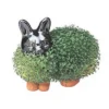 Joseph Enterprises, Inc Chia Pet Grass Planter: Bunny 1 Joseph Enterprises, Inc Chia Pet Grass Planter: Bunny -Garden & Outdoors GUEST dd9cfc9b 8f72 493b ae8d 1f87b8194103