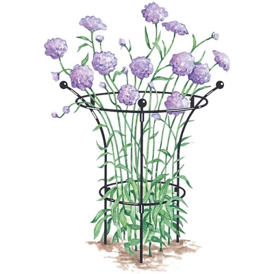 Gardener's Supply Company Essex Plant Support | Sturdy Metal Plants Support Frame For Peonies, Rose Ornamental Flower Garden Cage | Wide Top Rings 3 Gardener's Supply Company Essex Plant Support | Sturdy Metal Plants Support Frame For Peonies, Rose Ornamental Flower Garden Cage | Wide Top Rings
