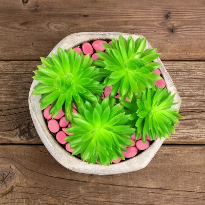 Garden Stones-200 Count Glow In The Dark Solar Pathway Pebble Lights-Decorative Glowing Rocks By Nature Spring (Yellow) 7 Garden Stones-200 Count Glow In The Dark Solar Pathway Pebble Lights-Decorative Glowing Rocks By Nature Spring (Yellow) - Image 5