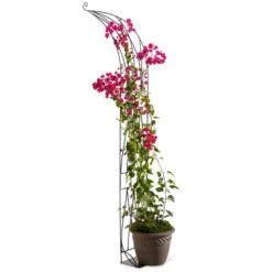 VegTrug™ Slimline Half Arch -Garden & Outdoors GUEST f6d3ae43 33df 426d a38c d6f446a91a78